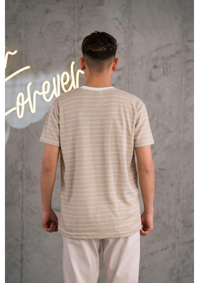 Reguler Fit Bisiklet Yaka Likralı Çizgili Erkek Yazlık T-shirt 001