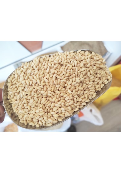 Kargı Yöresel Yerli Aşurelik Buğday 10 KG
