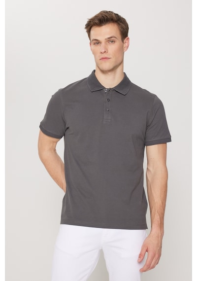 Ac&Co / Altınyıldız Classics Erkek Antrasit Slim Fit Dar Kesim Polo Yaka Kısa Kollu Tişört 4A4820200001AtrxXL Antrasit Ac&Co / Altınyıldız Classics Erkek Antrasit Slim Fit Dar Kesim Polo Yaka Kısa Kollu Tişört 4A4820200001AtrxXL Antrasit