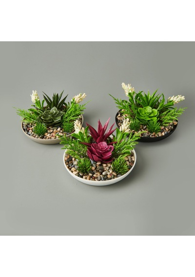 Dekor Aranjman Sukulent - Asorti - 15x10 Cm Çok Renkli