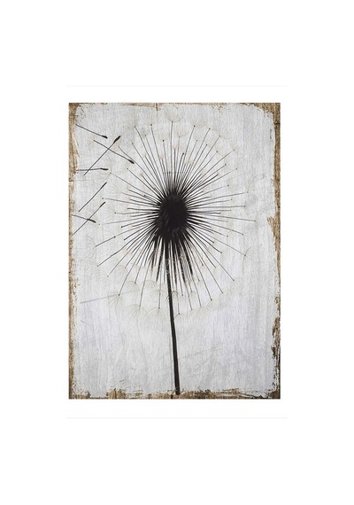 Bedeko Şeytan Tüyü Hediyelik Mdf Tablo 25 Cm X 35 Cm
