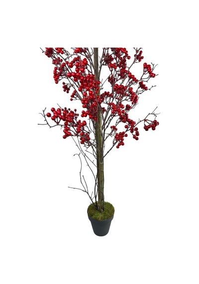 Yapay Ağaç Kokina Ağacı 150cm Doğal Görünümlü 7dallı