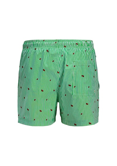 Jack & Jones Jack&jones Maui Mini Stripe Erkek Yeşil Mayoşort Yeşil