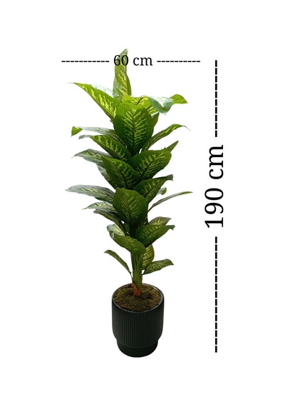 Royal Prestige Difenbahya Ağacı 190 Cm Lüks Salon Ve Ofis Yapay Ağaç Siyah