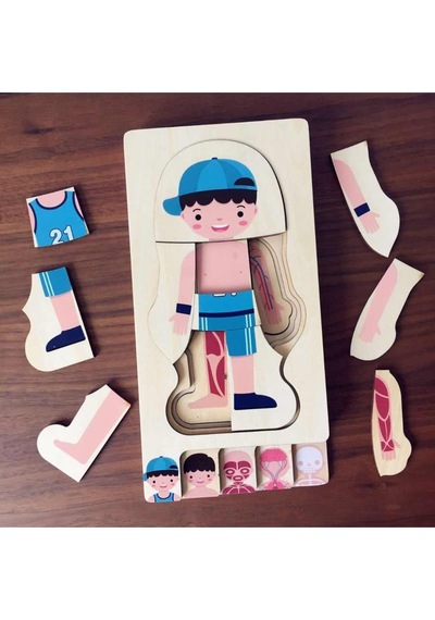 Montessori Waldorf Öğrenme Ahşap Erkek Insan Vücudu Anatomisi Puzzle