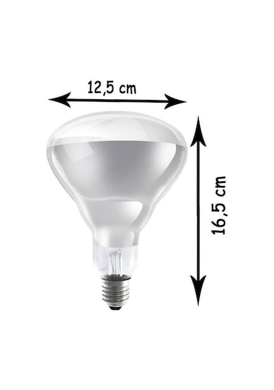 Ledvance Infrared Br40 Clear 250w E27ampul