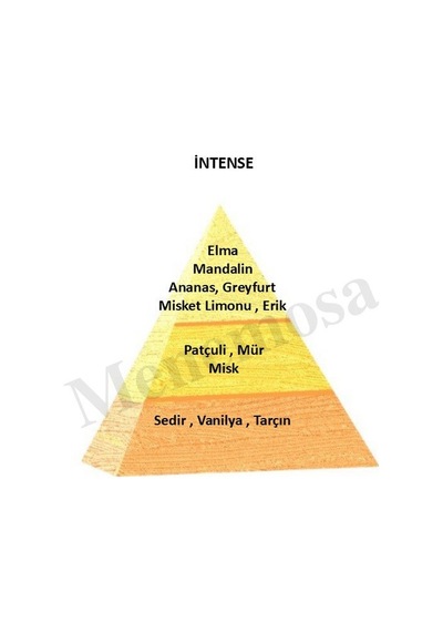 Bargello  Intense + Intense Unisex Parfüm Oriental Edp - Mnmsint2 Baharat