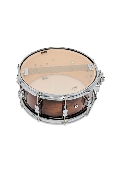 Pdp Drums Concept Maple Exotic 6.5x14" Trampet Walnut To Charcoal
