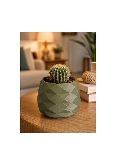 Geometrik Mini Kaktüs Saksısı Dekoratif Masa Üstü Saksı 3d Baskı