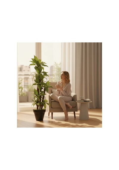 Yapay Dracaena 180 Cm - 3 Gövdeli Zebra Desenli Yapay Ağaç Siyah Plastik Saksı Çok Renkli