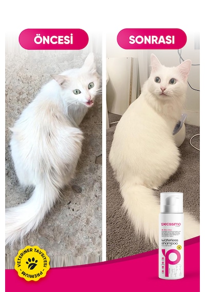 Petissimo Care Kuru Kedi Şampuanı - Bit Pire Kene Ve Parazit Önleyici - Tüy Dökülmesi Karşıtı - 200 Ml