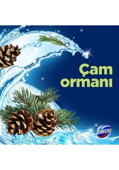Çam Ormanı Aromalı 5'li Tuvalet Bloğu Ürünü