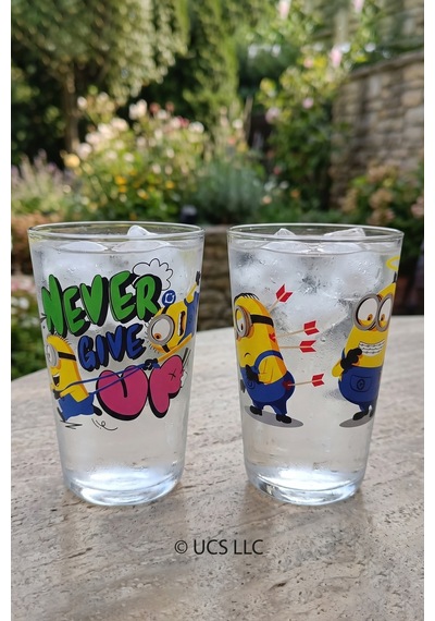 Minions Lisanslı 2'li Su Bardağı 400 Cc Çok Renkli