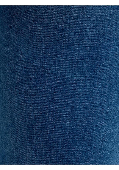Flare Regular Fit Kadın Pantolon Denim