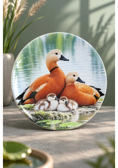Dekoratif Duvar Tabağı - Göl Kenarında Ördek Ailesi 27 Cm - Dekorlu Seramik Tabak