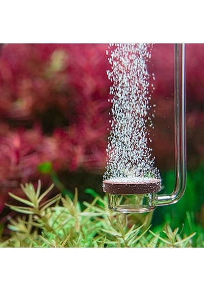 Aquario Neo Co2 Diffuser Normal L