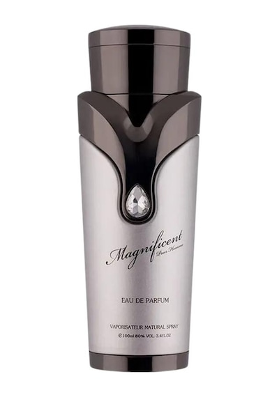 Armaf Magnificent Pour Homme Edp 100 Ml Erkek Parfümü Oryantal
