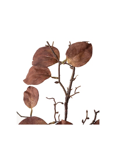 Mudo Home Bordo Yaprak Dal Çiçek 104 Cm Diğer