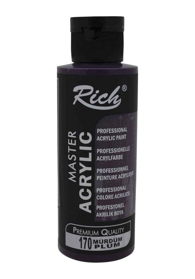 Rich Akrilik Boya Master 120 Cc Mürdüm 120-170 Çok Renkli