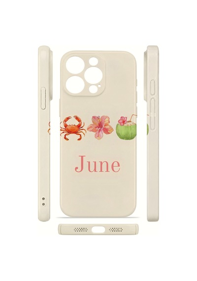 Apple iPhone Uyumlu 15 Pro Max Vorian İnce Kamera Korumalı Mika Kılıf June Seaside June Seaside Mika