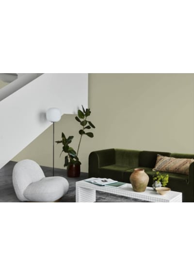 Jotun Laurbaer 8302 Fenomastic Güzel Evim Serisi Zengin Mat