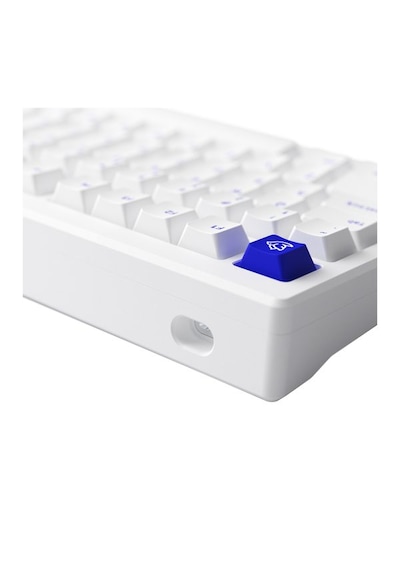 Akko MOD 007B PC Blue on White V3 Piano Pro Switch RGB Kablosuz Hotswap Mekanik Oyuncu Klavye