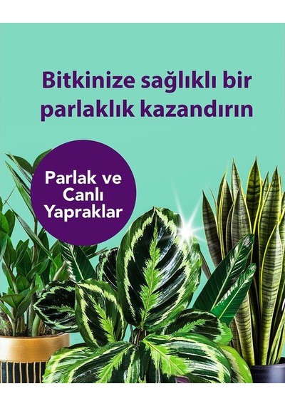 Petroturk Yaprak Parlatıcı 250 Ml 1