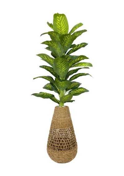 Biçiçek Yapay Monstera Ve Di̇fenbahya Ağacı Bohem Saksıda