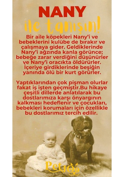 Petjoo 17.Nany Sarı-Kırmızı Qr'lı Köpek Künyesi