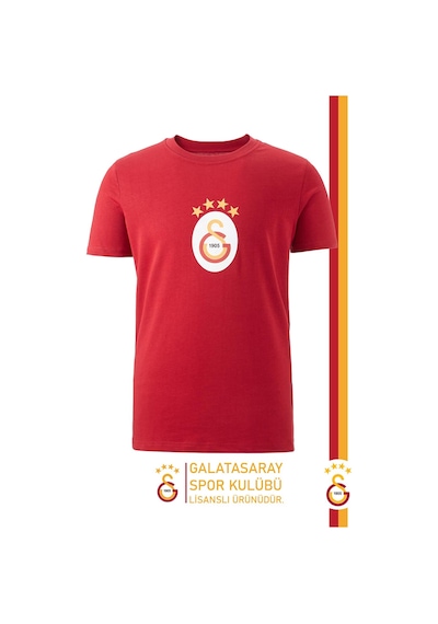 Galatasaray Lisanslı Arma T-shirt Gs Aslan Baskılı Ahşap Kutulu 100 Kırmızı