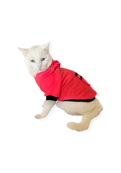 Kemique Pink Stars Kapşonlu Kedi Sweatshirt