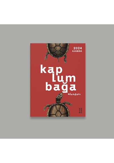 Ketebe Dükkan Kaplumbağa Ajandası 2024