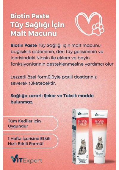 Tr Kediler Için Biotin Paste Tüy Dökülme Döküm Tüy Sağlığı Malt Macunu 100 Gr