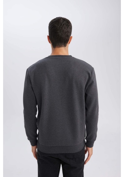 DeFacto Regular Fit Bisiklet Yaka Jakarlı Sweatshirt D5394AX24AUAR84 DeFacto Regular Fit Bisiklet Yaka Jakarlı Sweatshirt D5394AX24AUAR84