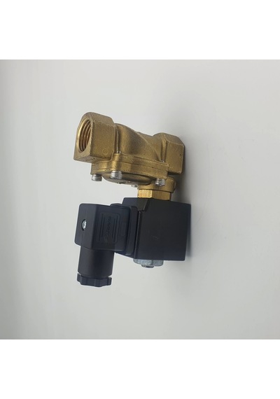 1/2 Nk Gm Solenoid Valf