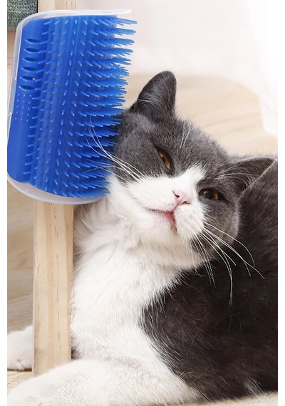 Cat It Pratik Kedi Tüyü Kaşıma Ve Tarama Aparatı Duvara Monte Kaşıma Aleti