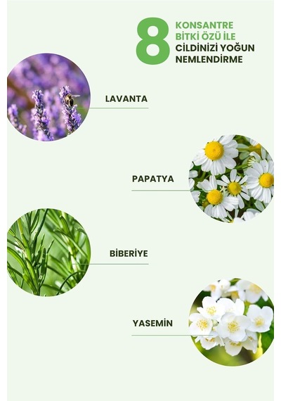 Lexroo Vegan İçerikli Mini Kit