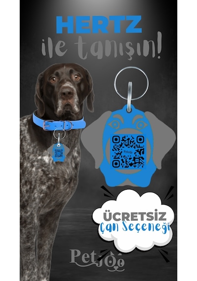 Petjoo 26.Hertz Gri-Mavi Qr'lı Köpek Künyesi