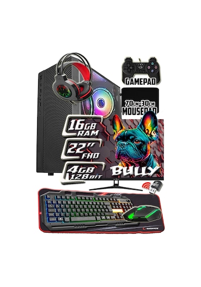 Warbox Bully X5650 16 GB 256 GB SSD 4 GB R7240 22" W10P Masaüstü Oyuncu Bilgisayarı