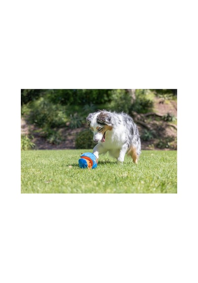 Giggle Kick Fetch Sesli Oyun Topu