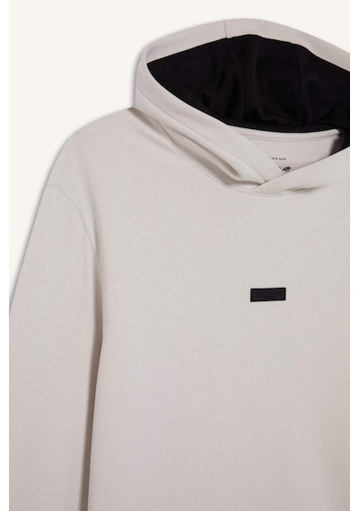 DeFactoFit Standart Fit Kapüşonlu Skuba Dalgıç Kumaş Sporcu Sweatshirt D7364AX25SPBG721
