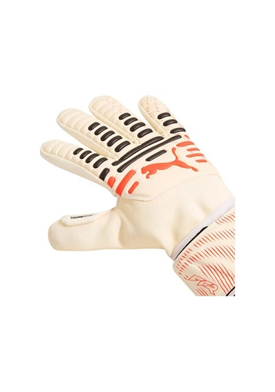 Puma Future Match Nc Erkek Kaleci Eldiveni 04212411 Bej