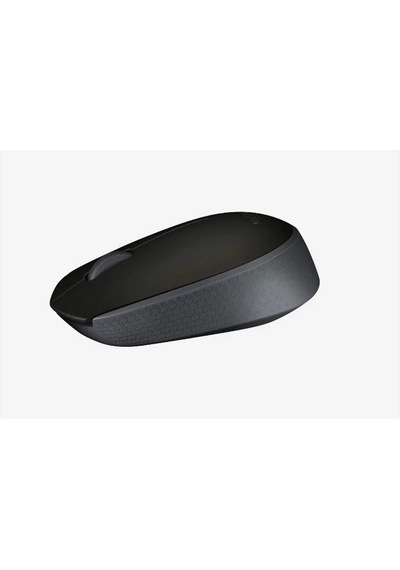 Logıtech M171 Kablosuz Usb Mouse Siyah 910-004424 001