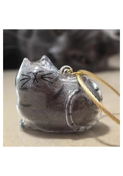 Şeffaf Kedi Tüyü Saklama Kapsülü Kedi Tüyü Anı Hatıra Anahtarlığı Aksesuar