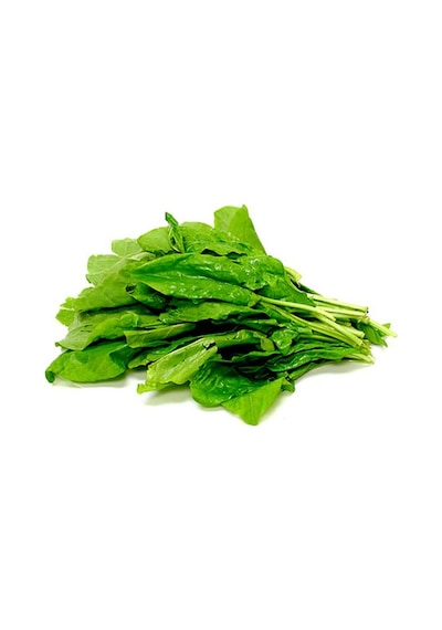 250+ Kuzu Kulağı Otu Tohumu Limon Aromasında N112703