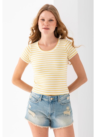 Giysa Kadın Bisiklet Yaka Çizgili Basic Body Sarı - 25509 Sarı