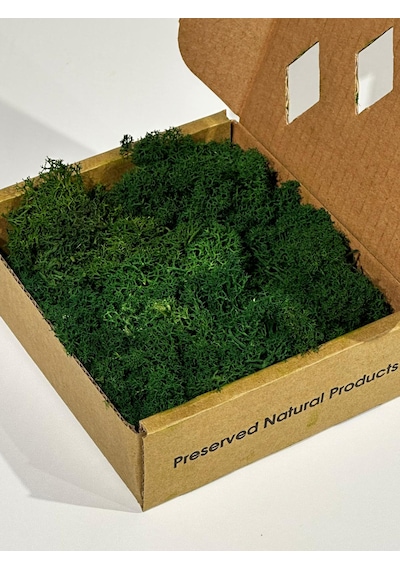 Reindermoss Şoklanmış Norveç Yosunu Terarium Yosunu Grass Green Light 100 Gr.