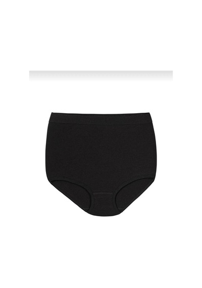 Yıldız Kadın Modal Yüksek Bel Silikonlu Likralı Toparlayıcı Külot 4200 - 12 Adet 001