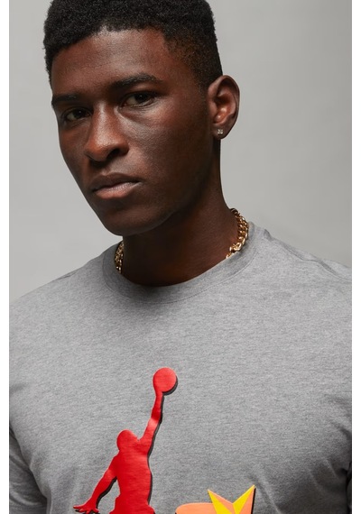 Nike Air Jordan Graphic Ss Crew Grafik Baskılı Erkek Tişört Gri Gri