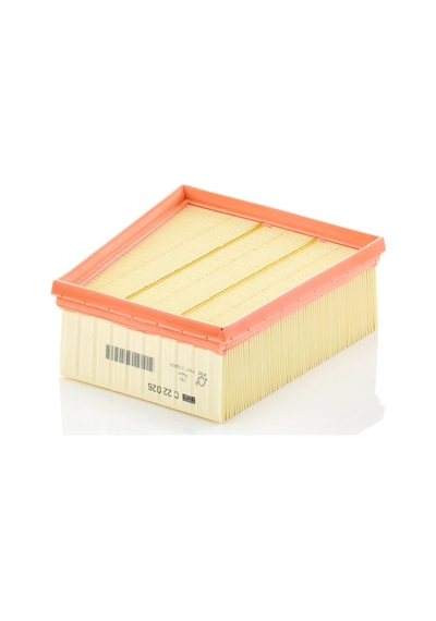 Mann Filter C22026 Hava Filtresi